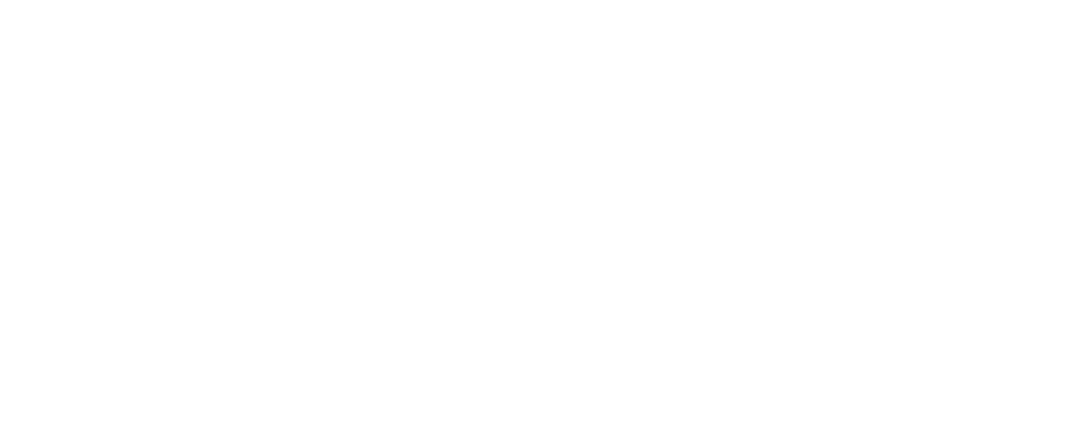 Grupo Firena